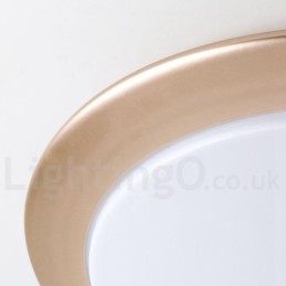 4CM Thick Super Thin Dimmable Modern Contemporary Nordic Style Flush Mount Ceiling Lights with Acrylic Shade with Remote Control Also Can Be Used As Wall Light