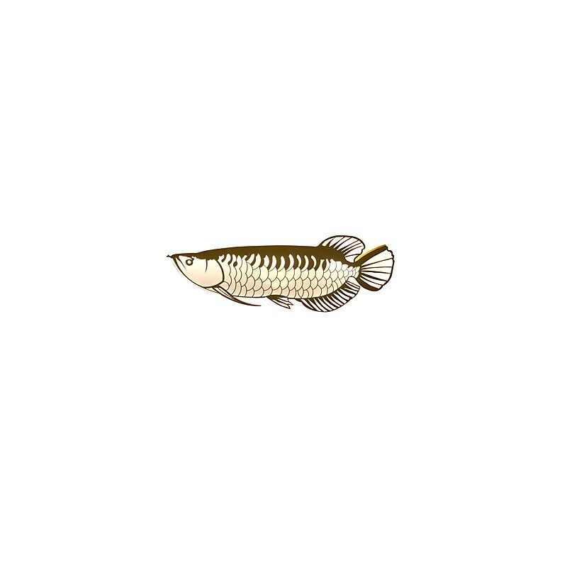 Modern Wall Lights Fish Shape Simplicity Style Acrylic Lighting Living Room Hallway Bedroom Hotel Rooms Decoration lighting