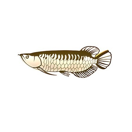 Modern Wall Lights Fish Shape Simplicity Style Acrylic Lighting Living Room Hallway Bedroom Hotel Rooms Decoration lighting